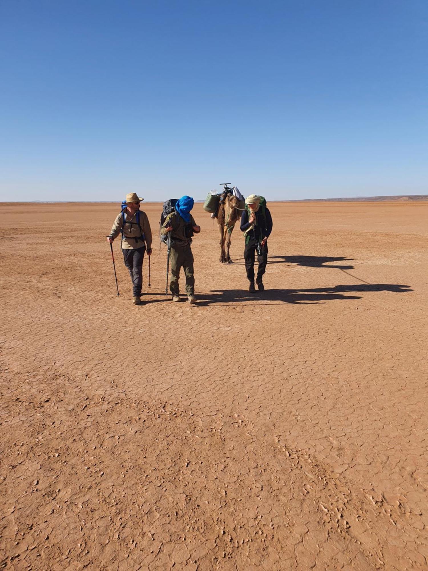 Hotel Bivouac Les Nomades & Foum Zguid To Chegaga Tours Exteriér fotografie